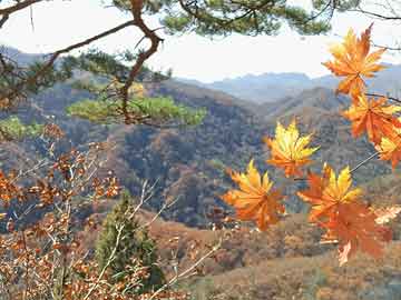 黄山门票9月-黄山门票9月三十号买的,一号不能去了怎么办